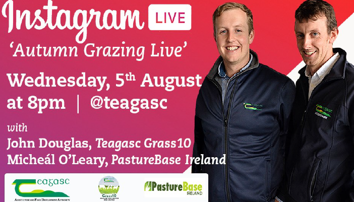 InstaLive Q&A with Grass10 & Pasturebase