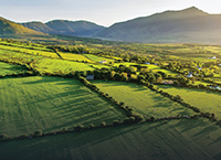 Teagasc shortlisted for Knowledge Transfer Ireland Impact Awards