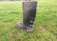 Walk your Farm – It will make decision making easier!