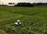 Review of 2022 with PastureBase Ireland