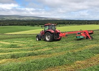 Dealing with surplus grass this May