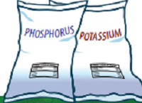 Managing Phosphorus (P) & Potassium (K) Factsheet
