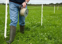 Grazing advice: Act now as key actions need to be taken