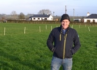 Grass disappearing fast on Athleague Sheep Farm