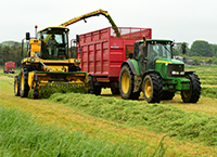 7 tips for better quality silage on beef farms