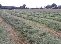 Fertilising for a Crop of Quality Silage
