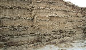 Feed costs – current situation and future scenario analysis