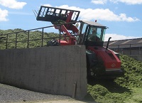 Delaying silage cutting date will have negative effects on silage quality & quantity for dairying