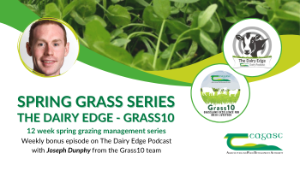 Grass10 grazing update with Jack Kearney, Co. Cork