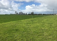 Target Grazing Covers on Beef Farms