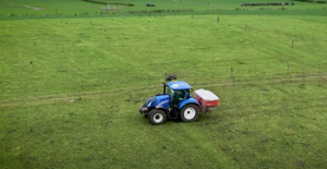 Nitrogen application strategies for grass-white clover swards