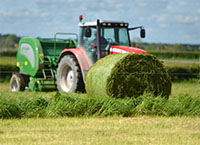 Making quality silage for sheep