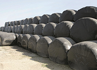 The Importance of Knowing the Nutritional Value of Silage