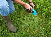 September deadline for derogation water quality review