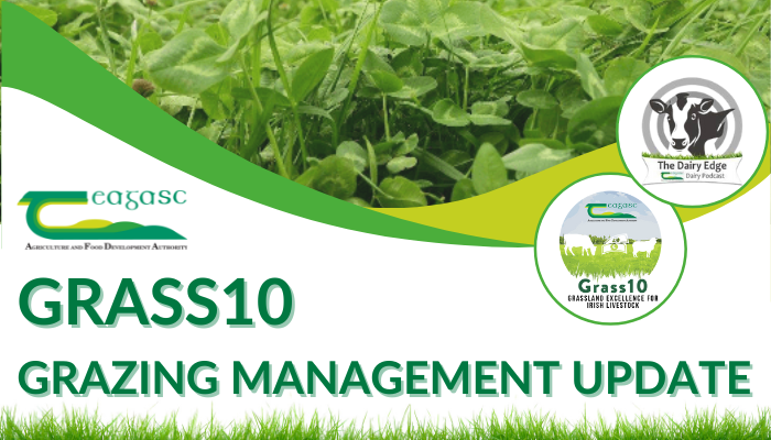Listen: Grazing update with Tim Walsh in Co. Kerry