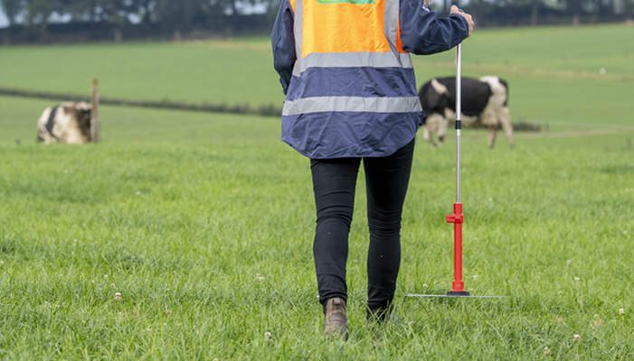 Grass growth: Careful monitoring required on drier farms
