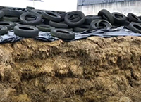 Assess your silage requirements – complete a fodder budget
