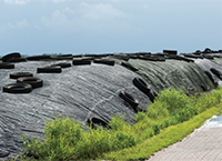 Grass silage – why high feed value is essential
