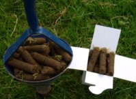Get to Know Your Soil Fertility