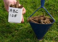 Regulation heightens need for nutrient management planning on drystock farms