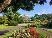 How plants in your garden remove carbon dioxide from the atmosphere