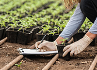 The importance of Green Education: Insights from the Europea Seminar 2024