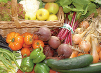Horticultural input price inflation continues in 2023