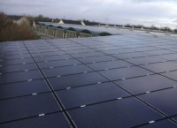 Energy options in horticulture