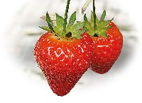 The new super berry