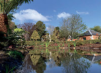 Treat yourself to a wildlife pond