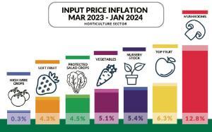 Horticulture Crop Input Prices 2024