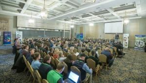 Views on dairy calf to beef action plan sought