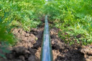 More Crops, Less Water: A Case for Smart Irrigation