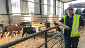 Aidan and Luke Maguires’ approach to calf rearing