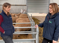 Watch: ‘Feed costs are very high so you need to be feeding accurately’