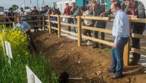 Teagasc at the National Ploughing Championships 2024