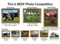 ‘A spit seals the deal’ in the Teagasc Beef Photo Competition