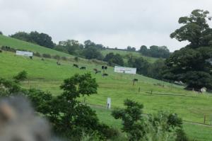 Futureproofing Irish dairy systems at Ballyhaise