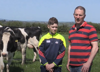 Organic Dairy Farming – Batt Sheehan