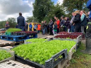 Sustainable Farming at Beechlawn Organic Farm