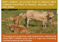 3rd European Beef Carbon Farmers’ Network