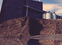 Biomass for Energy