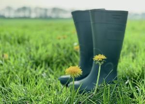 Grass half full