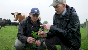 Championing environmental sustainability – what set the Walsh family apart
