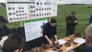 The soil is alive and willing to help