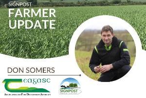 Signpost update: Spring crops established in excellent conditions