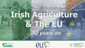 Watch: Irish agriculture over the last 50 years