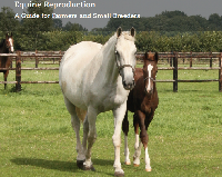 Equine Reproduction – A guide for farmers and small breeders