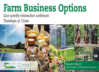 Farm Business Options – Insects Spark interest in Research and Farming Projects