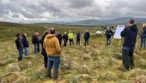 Creating resilient upland farming systems